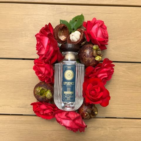 Opulence Gin 40° 0.5L