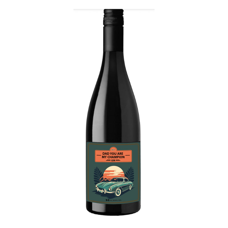 Leplan RS Côtes du Rhône Classic Rouge 2022 75Cl Champion