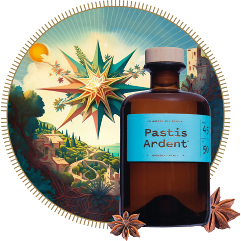 De Pastis Ardent 45% 50cl